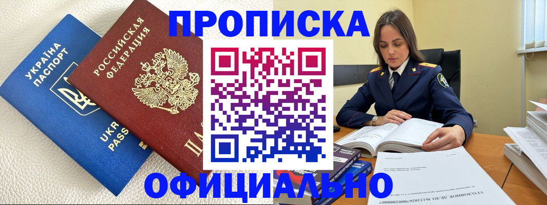 прописка поиск в Александровске